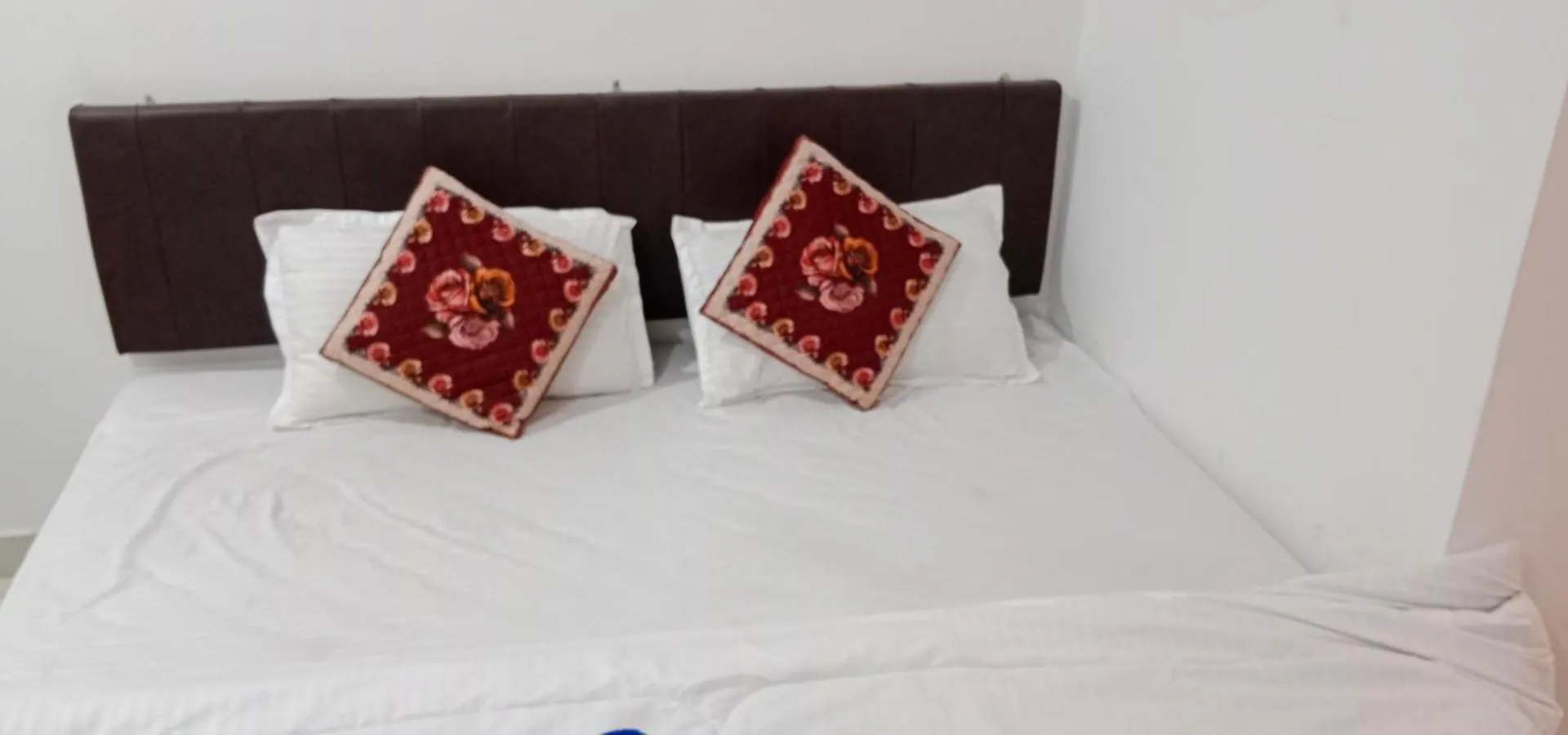 ****  Hotel Aaradhya Udaipur India